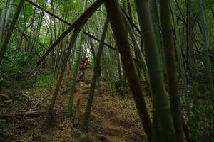 BIB: 
                            <button type="button" onclick="openModal(22242019)" class="btn btn-primary btn-sm float-right btn-popup" data-toggle="modal" data-target=".modal-high-quality">
                        <i class="fas fa-shopping-cart"></i> Add to Cart
                    </button>
                                            <button type="button" onclick="isThisMe(22242019, true)" class="btn btn-success btn-sm float-right btn-popup btn-isme hidden" data-toggle="tooltip" data-placement="bottom" title="นี่คือรูปของคุณใช่ไหม คลิกที่นี่เพื่อเอาเข้าอัลบั้ม">
                        <i class="fas fa-plus"></i> Add to album
                    </button>
                    <button type="button" onclick="isThisMe(22242019, false)" class="btn btn-warning btn-sm float-right btn-popup btn-isnotme hidden">
                        <i class="fas fa-ban"></i> Remove from album
                    </button>